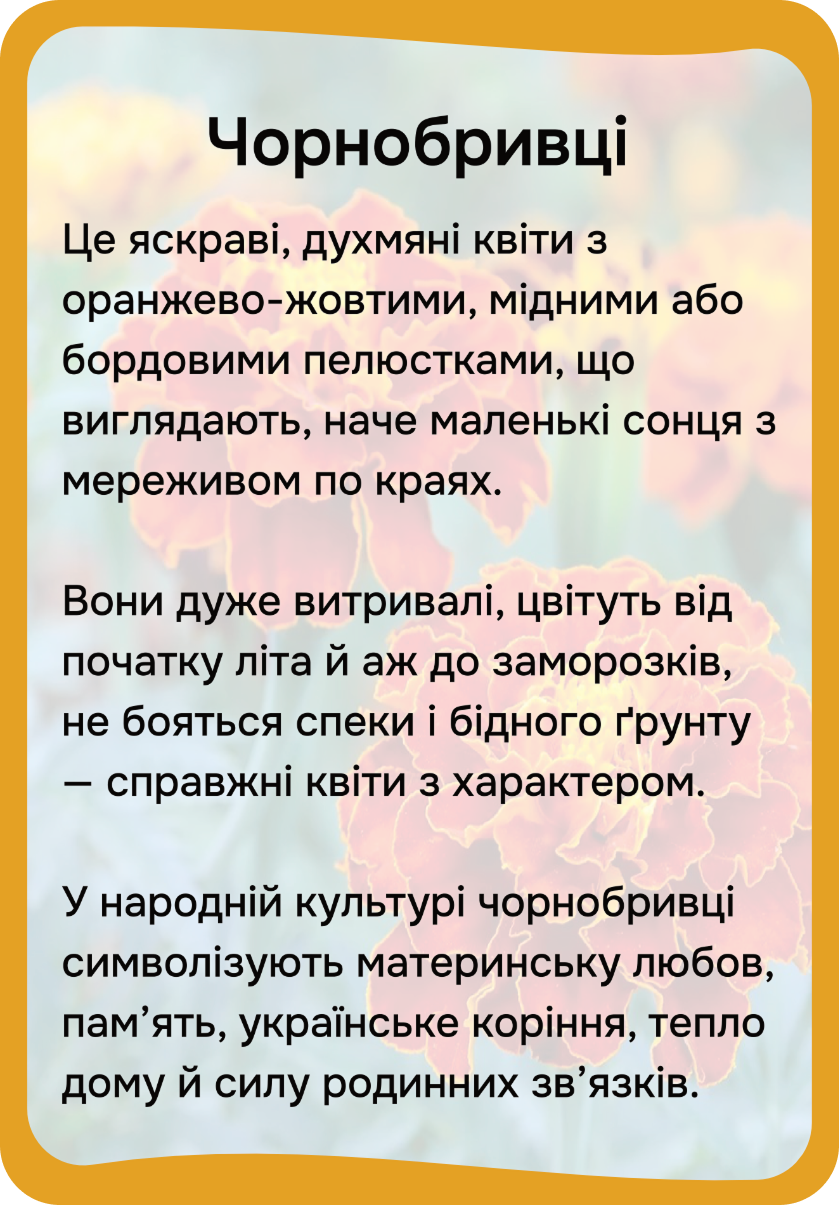 Квіти