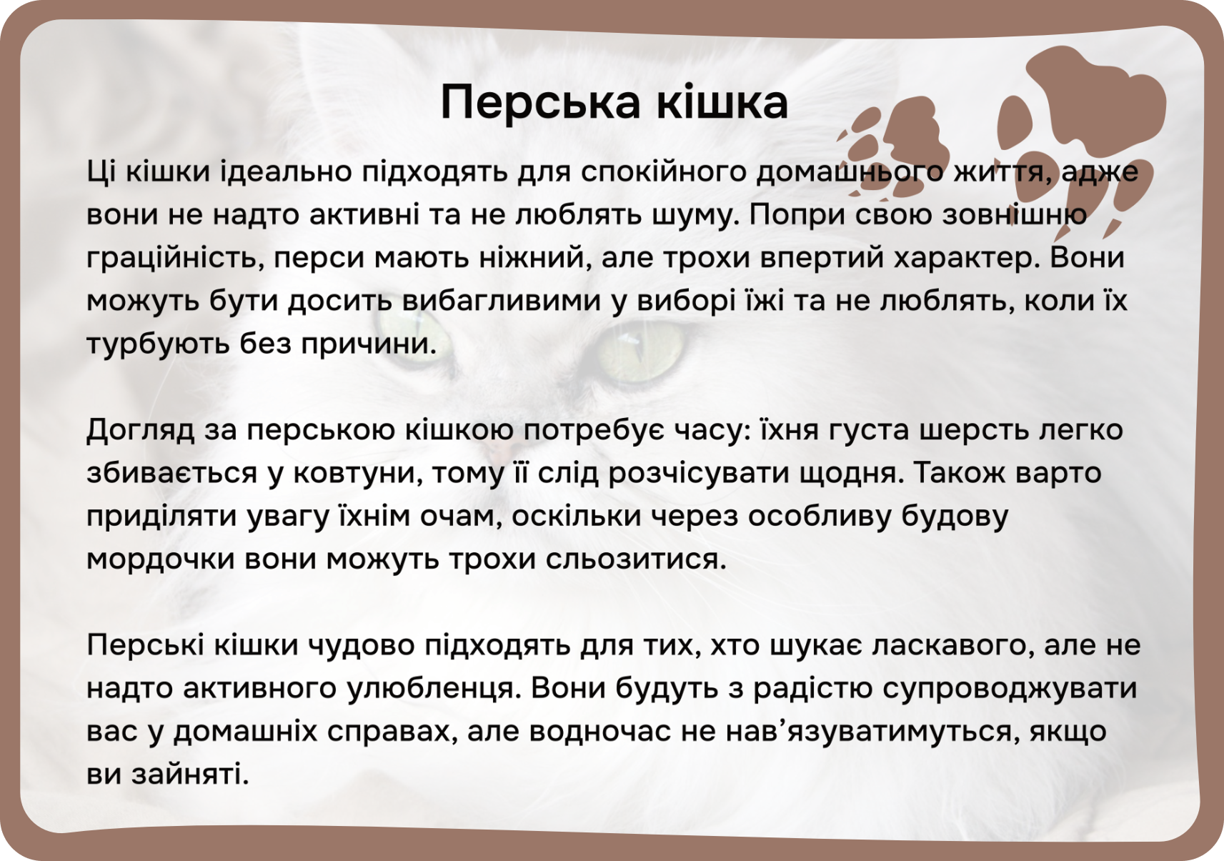 Коти та собаки
