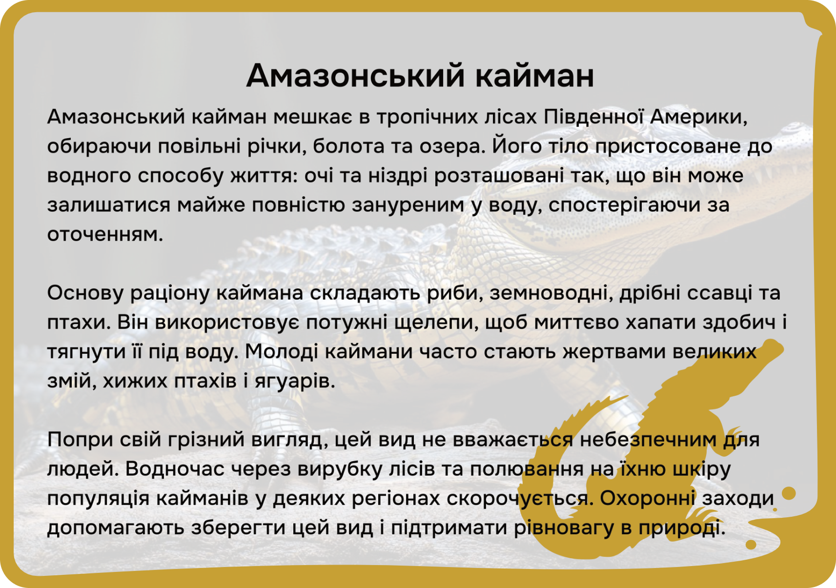 Південна Америка