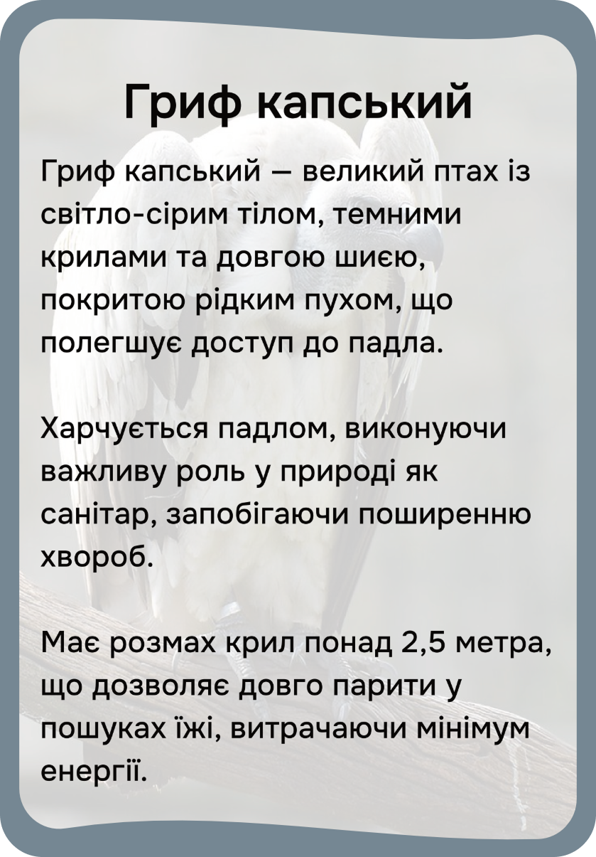 Африка