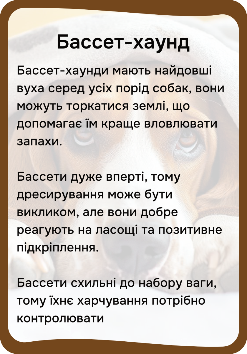 Коти та собаки