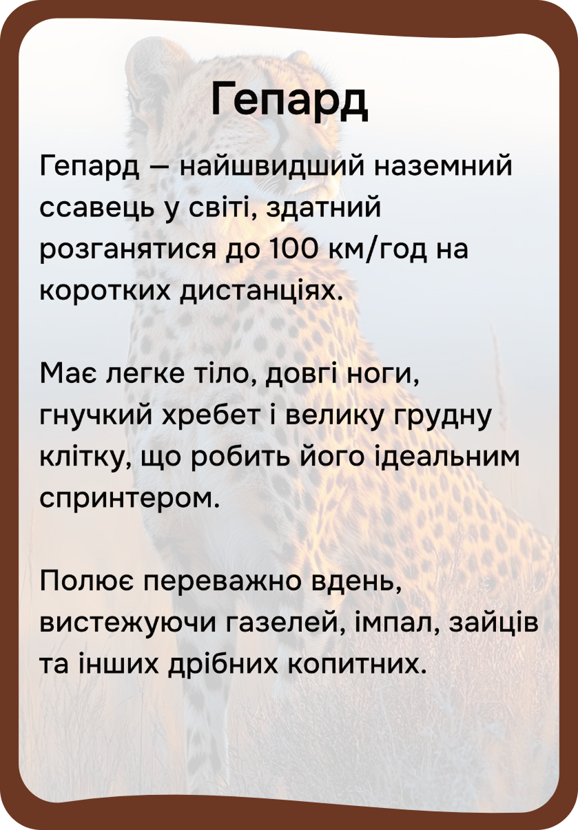 Африка