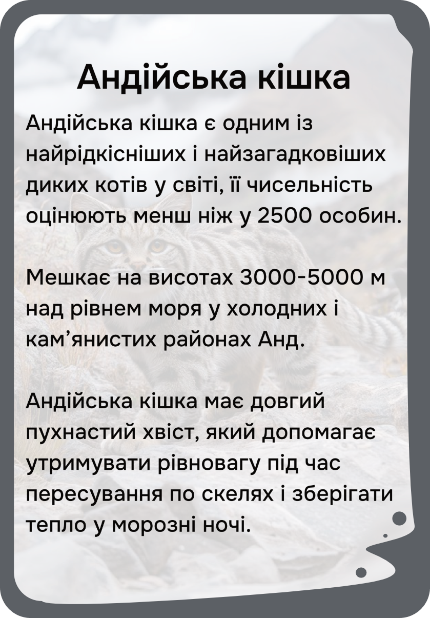 Південна Америка