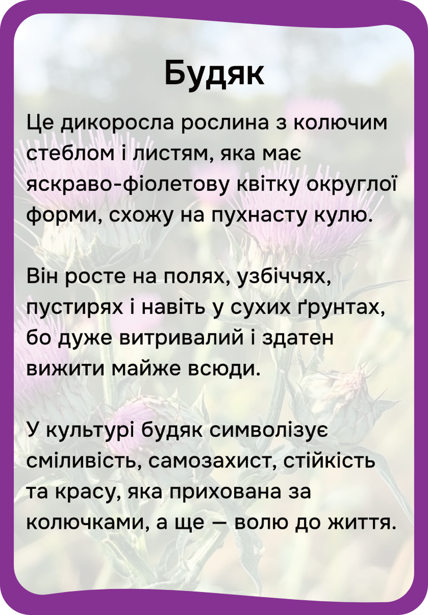 Квіти