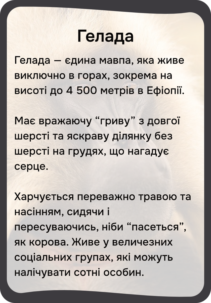 Африка