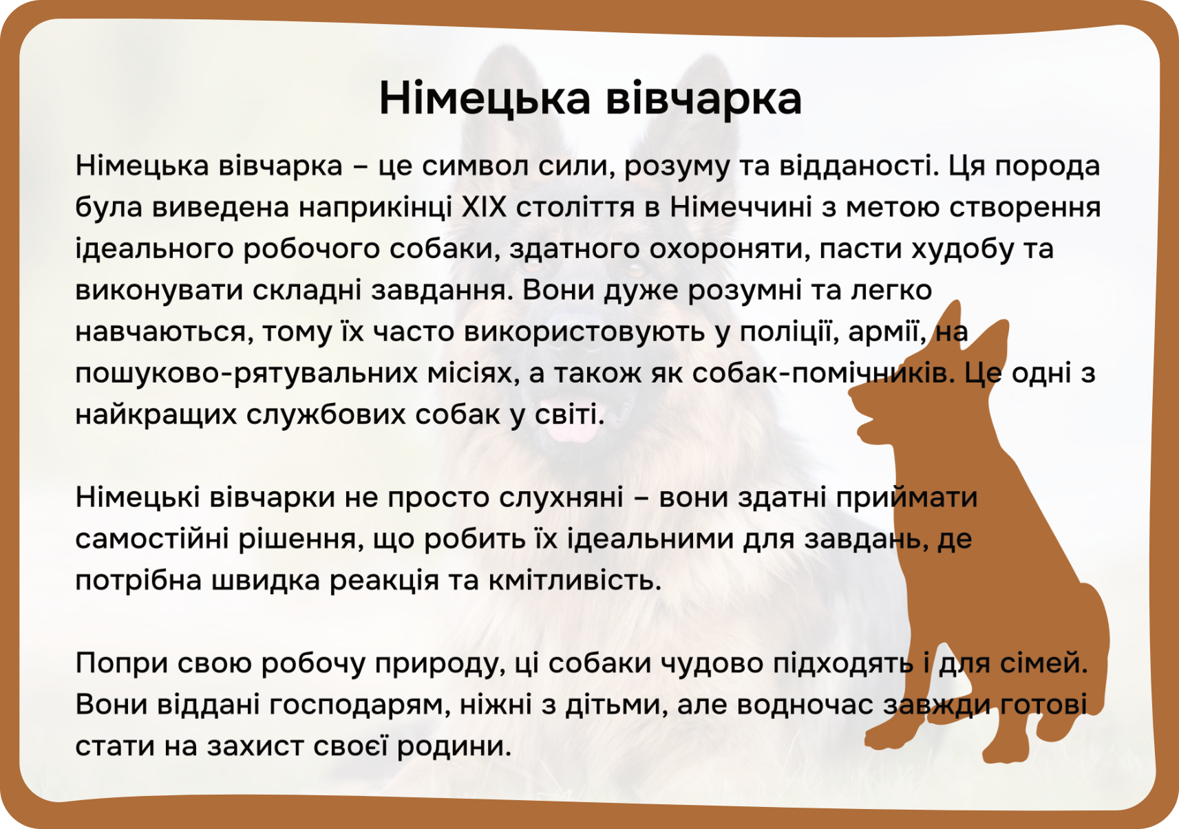 Коти та собаки