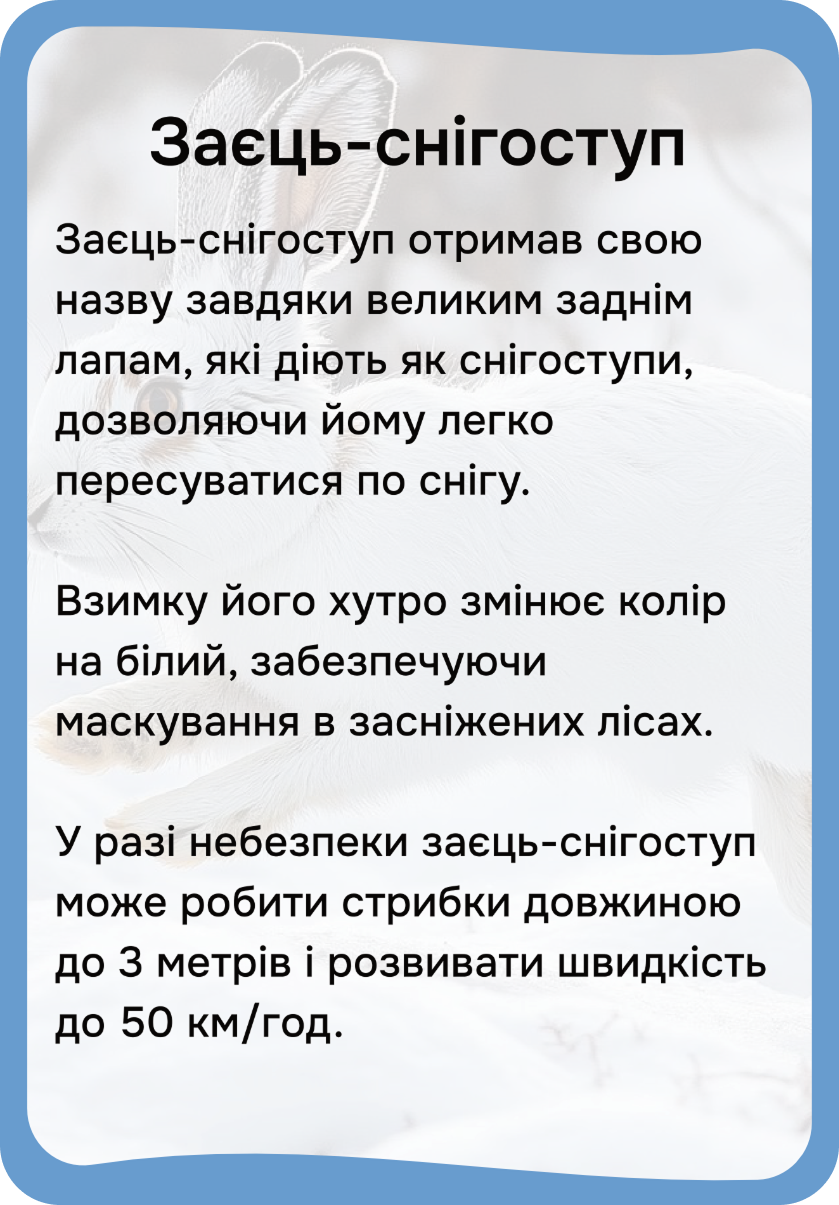 Північна Америка
