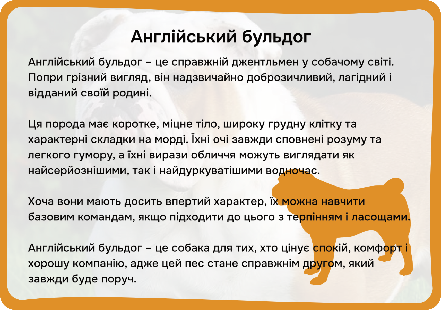 Коти та собаки