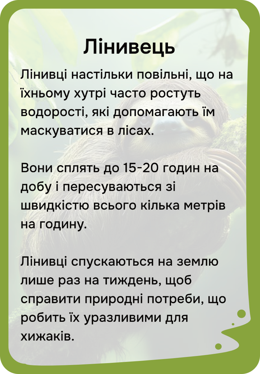 Південна Америка