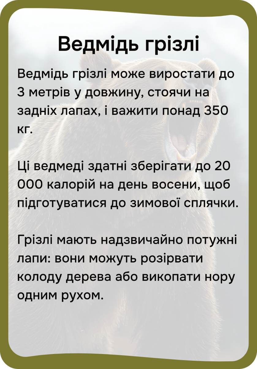 Північна Америка