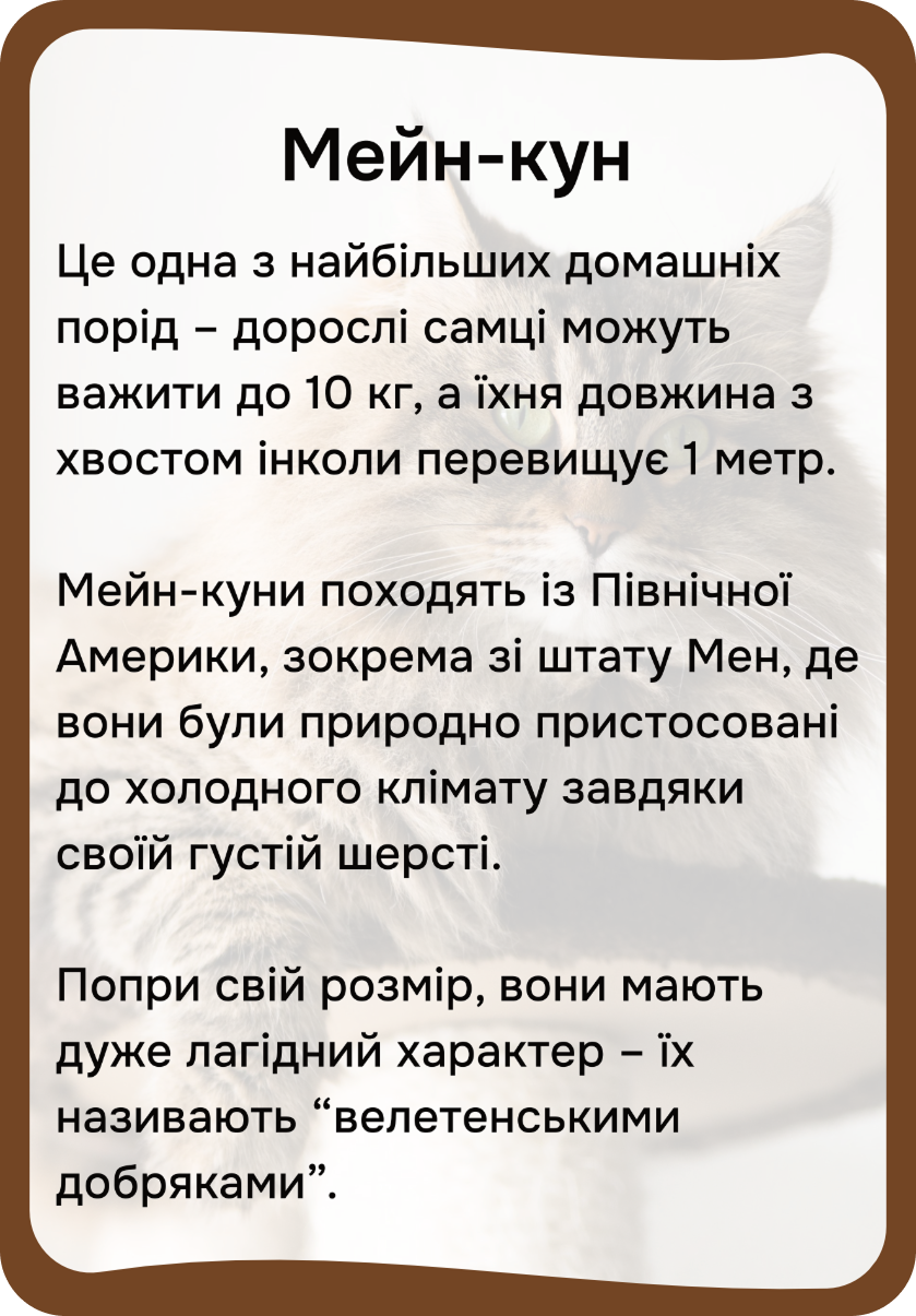 Коти та собаки