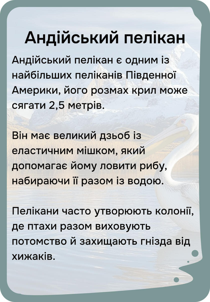 Південна Америка