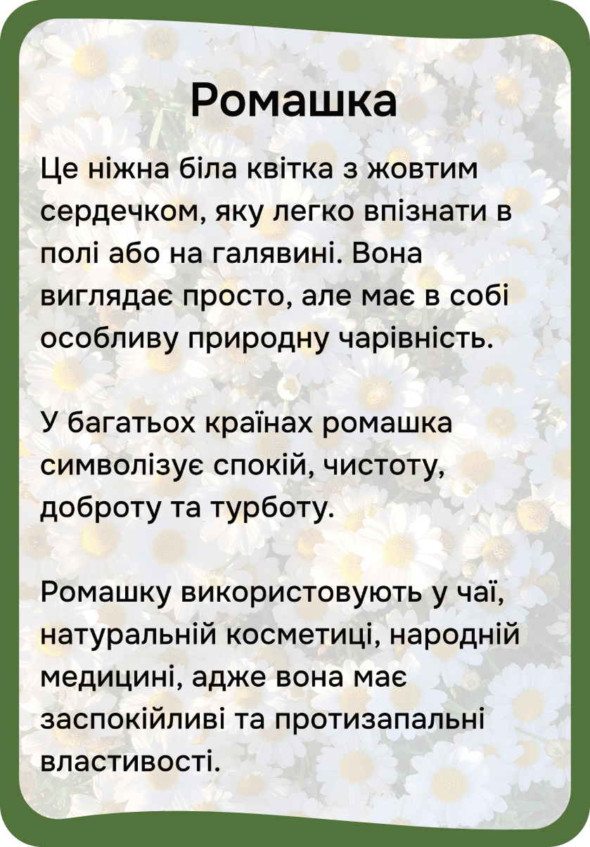 Квіти