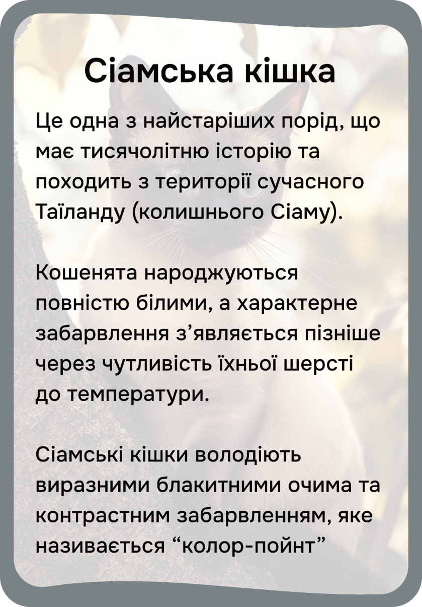 Коти та собаки