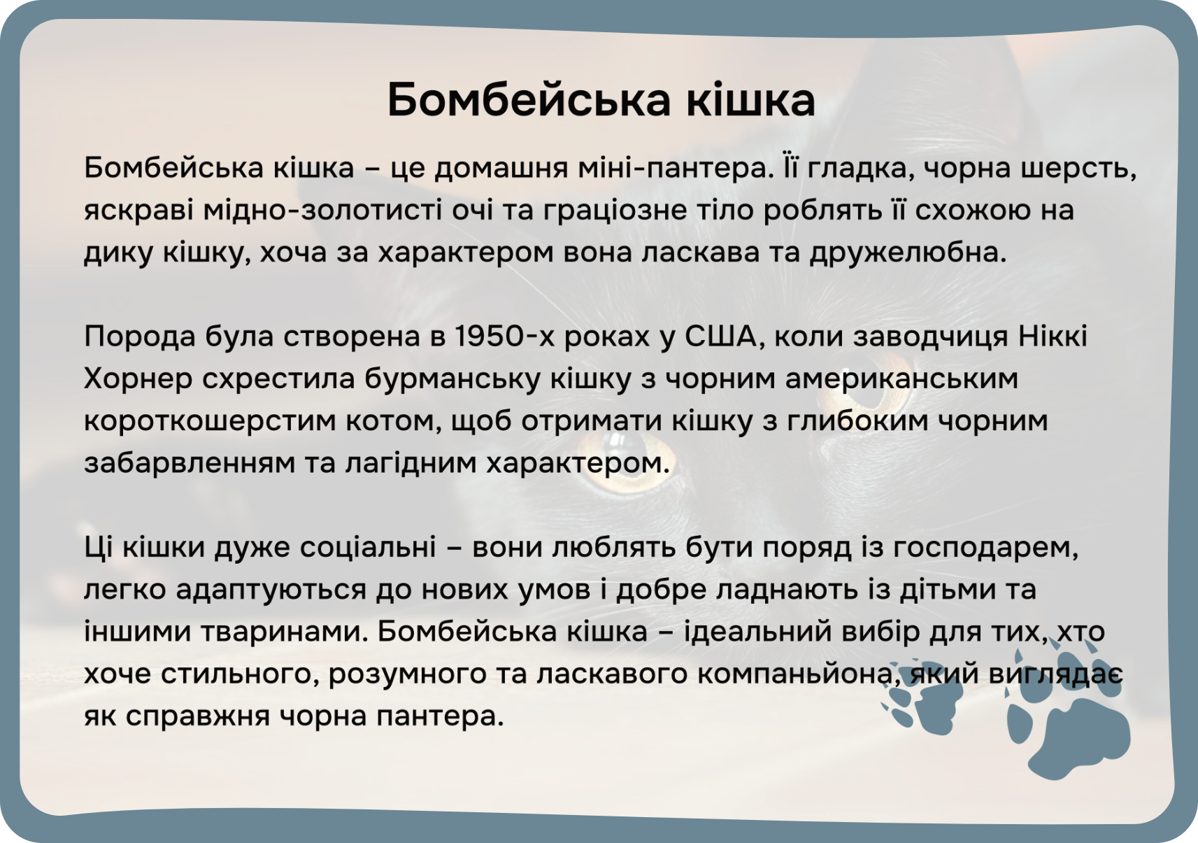 Коти та собаки