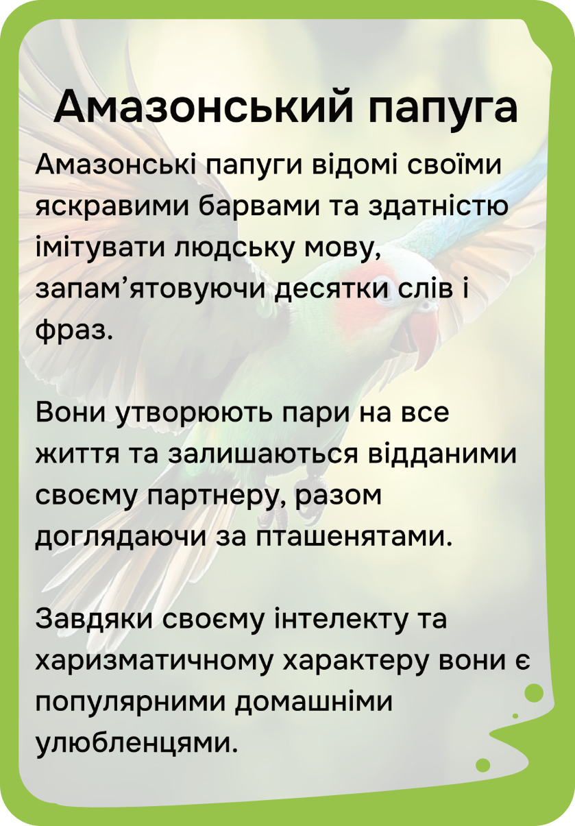 Південна Америка