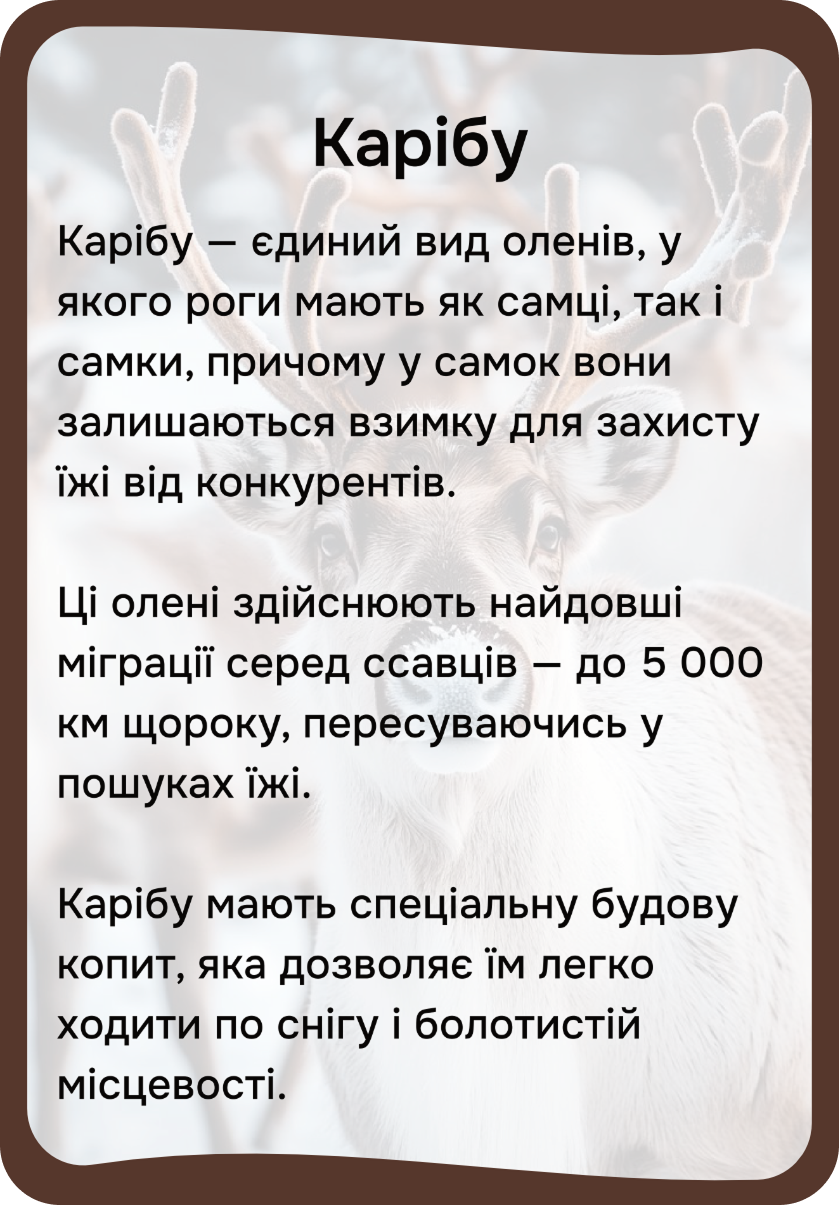 Північна Америка