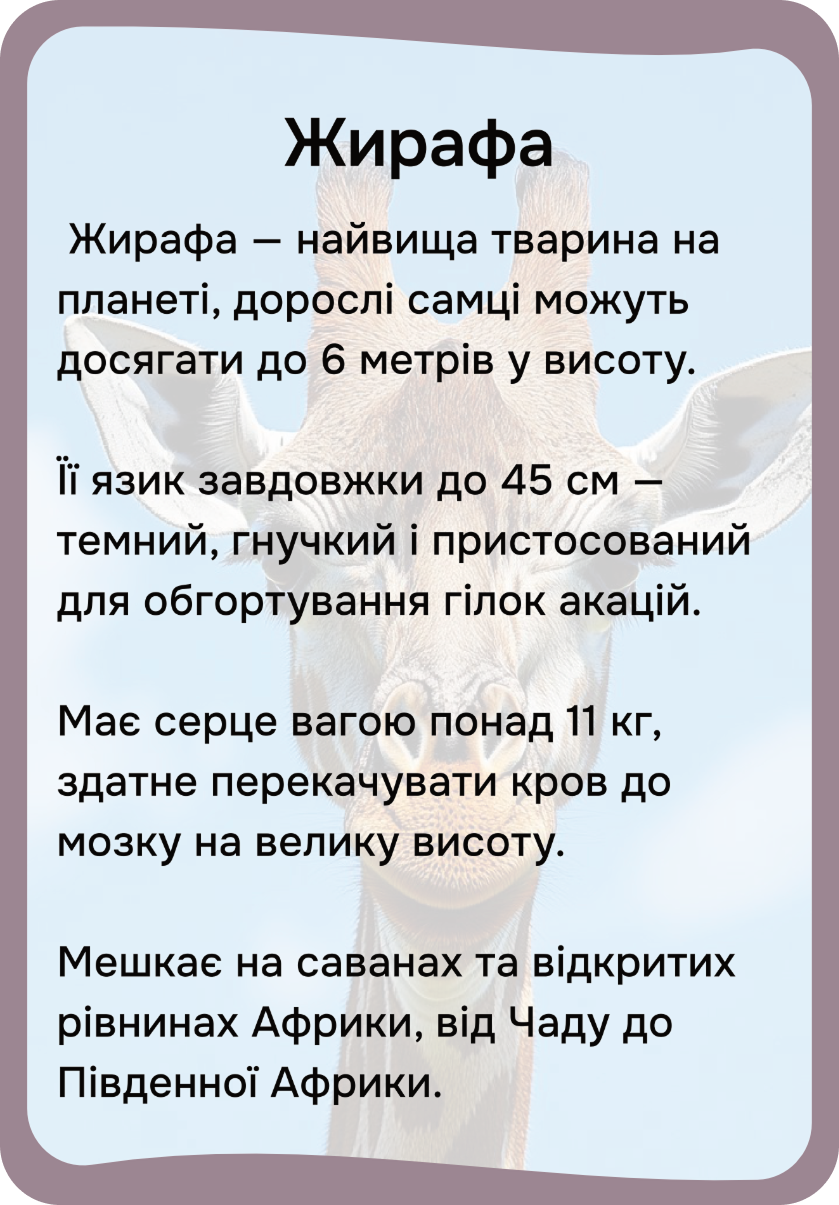Африка