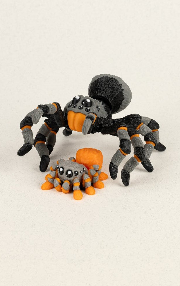 Павук та павученя - Education Cards