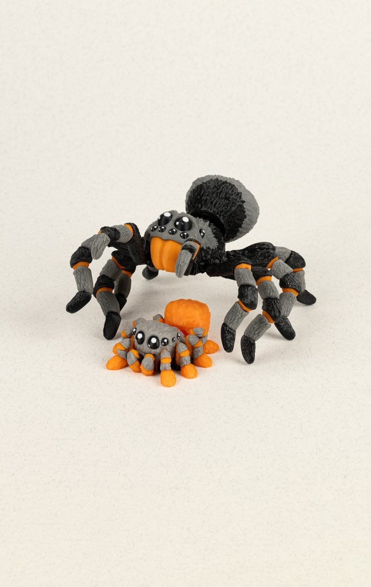 Павук та павученя - Education Cards