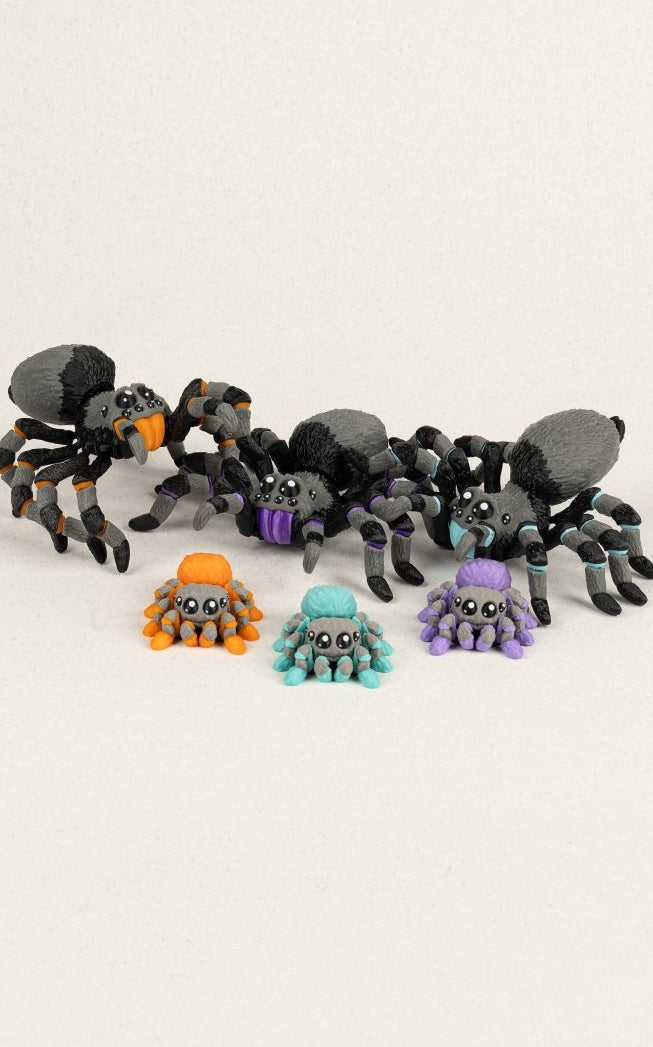 Павук та павученя - Education Cards