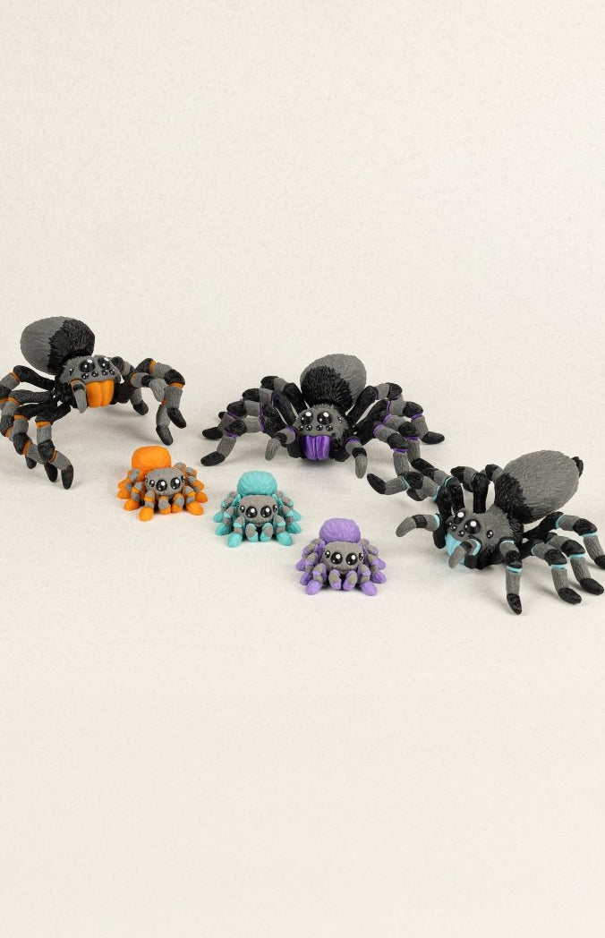 Павук та павученя - Education Cards