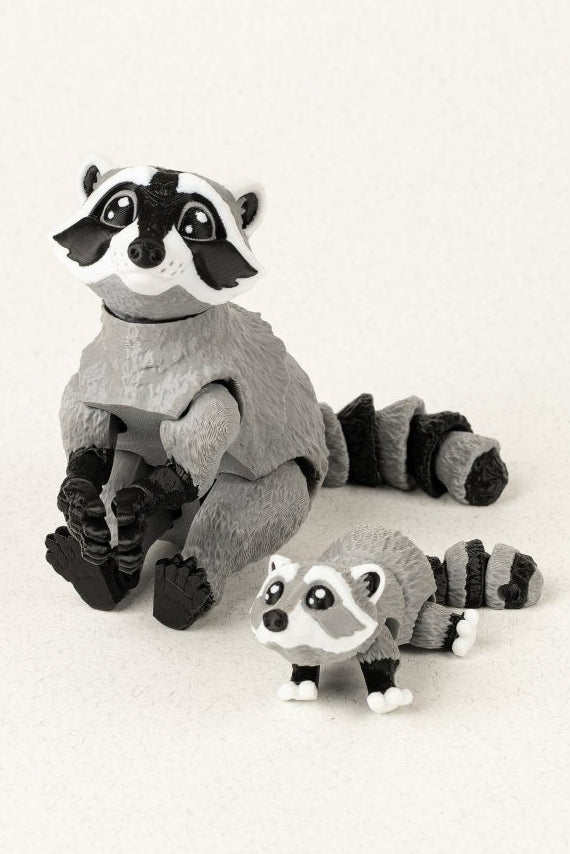 Родина єнотів - Education Cards