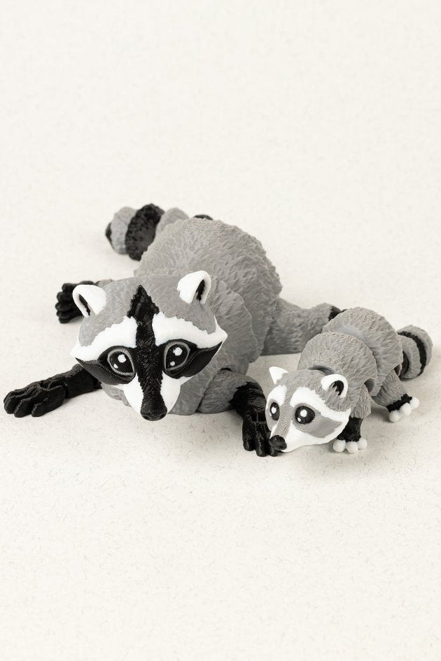 Родина єнотів - Education Cards