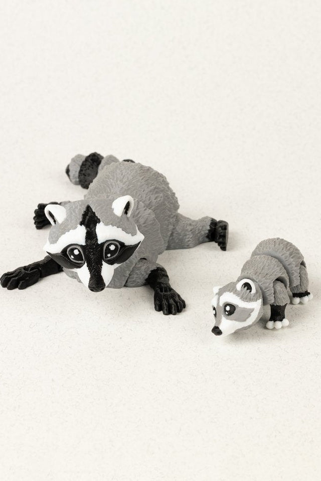 Родина єнотів - Education Cards