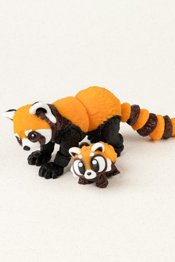 Родина червоних панд - Education Cards