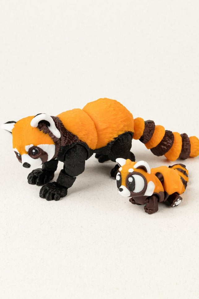 Родина червоних панд - Education Cards