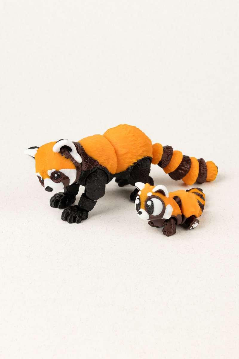 Родина червоних панд - Education Cards