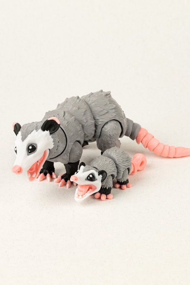 Родина опосумів - Education Cards