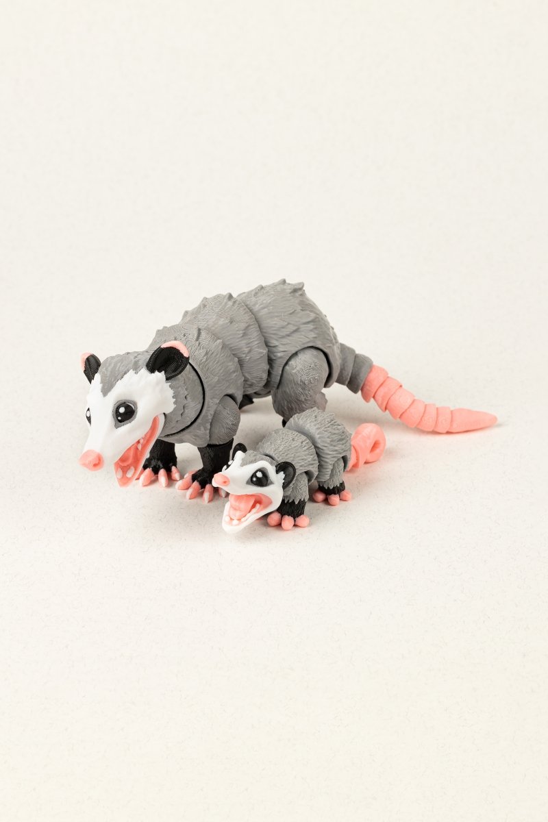 Родина опосумів - Education Cards