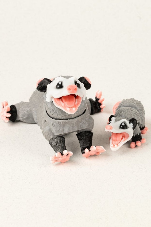 Родина опосумів - Education Cards