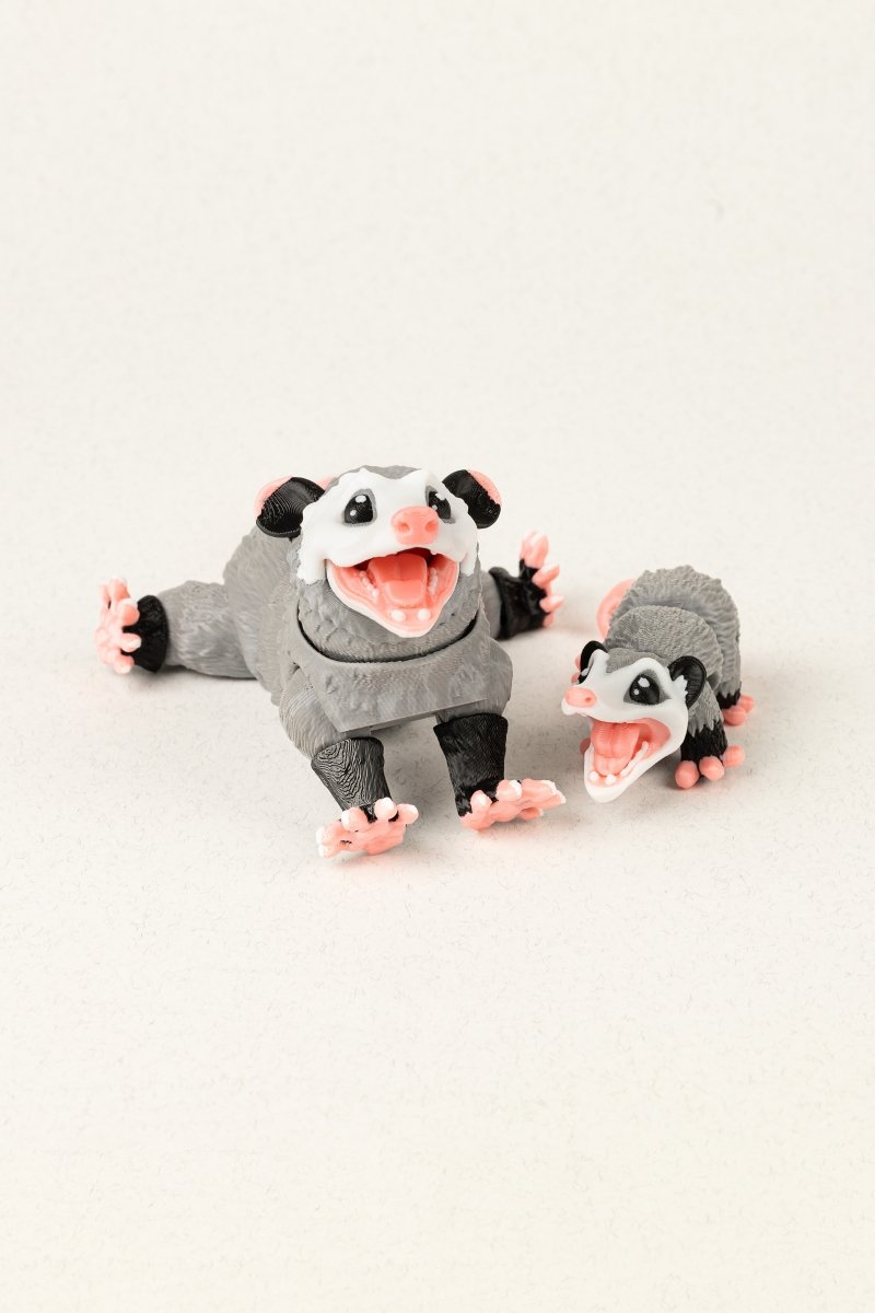 Родина опосумів - Education Cards