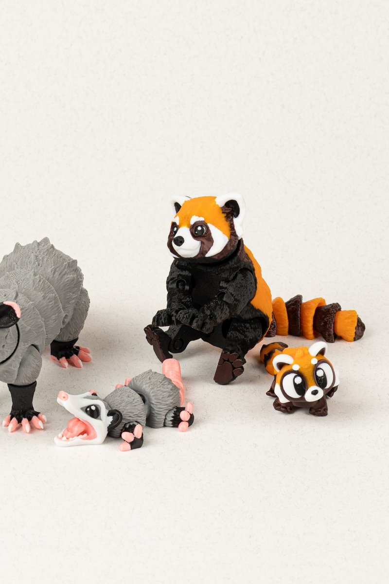 Родина червоних панд - Education Cards