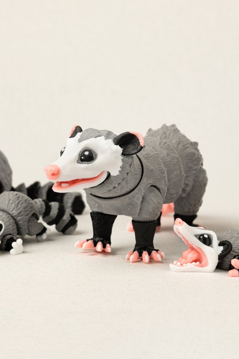 Родина опосумів - Education Cards