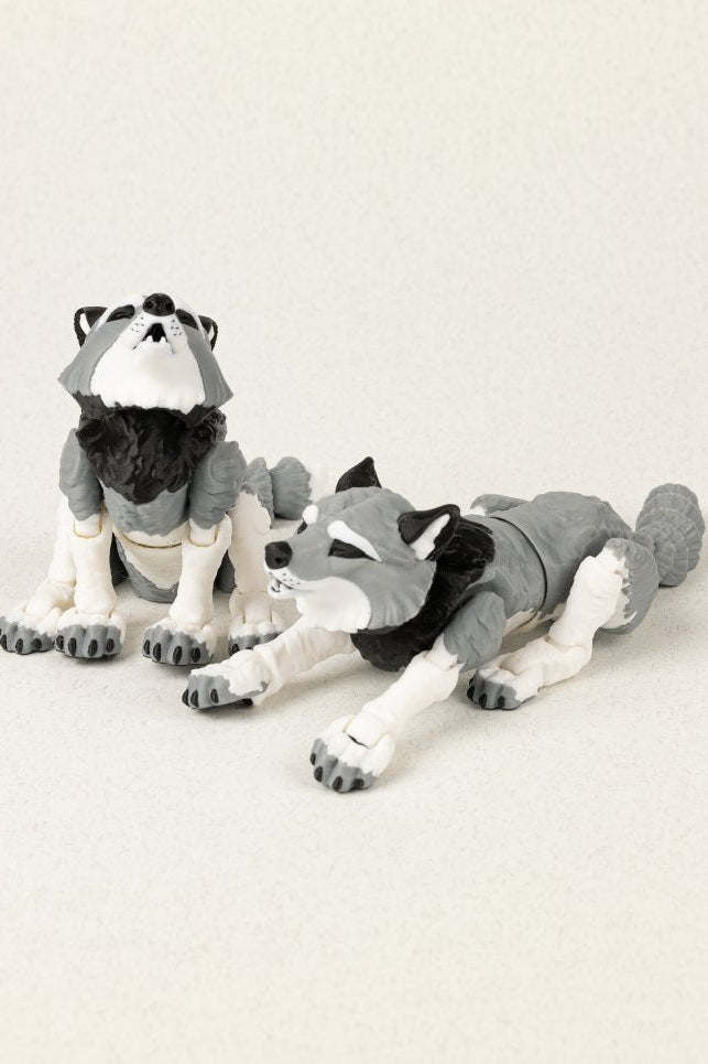 Вовк - Education Cards