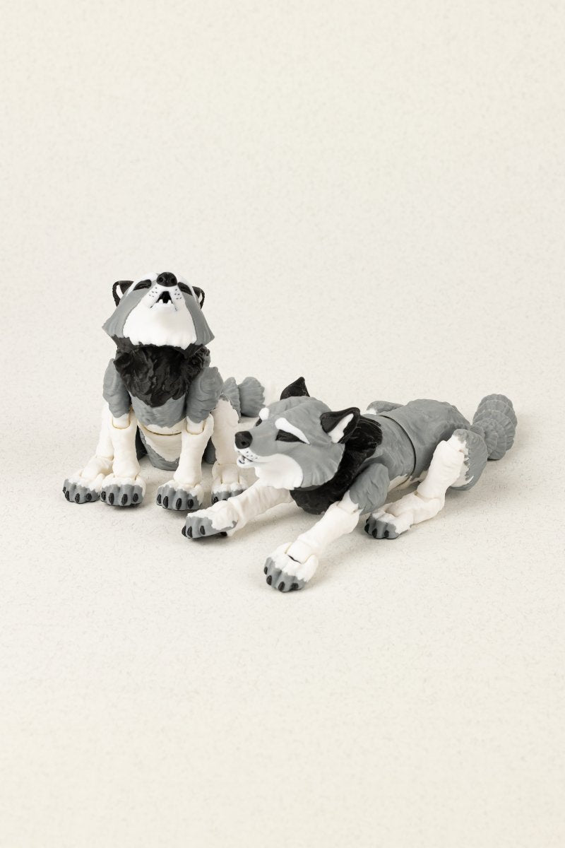 Вовк - Education Cards