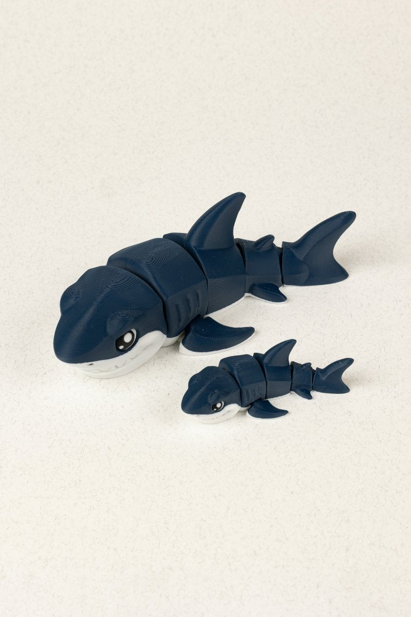 Біла акула - Education Cards