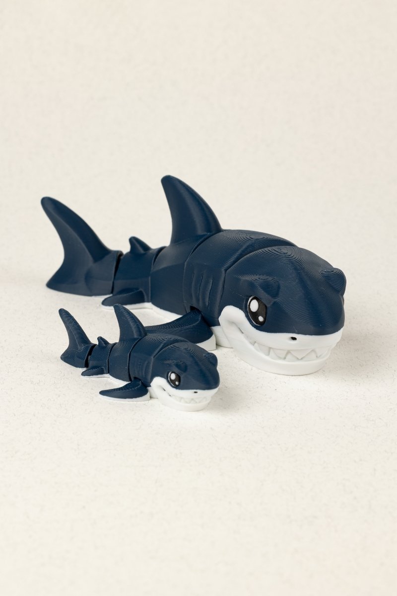 Біла акула - Education Cards