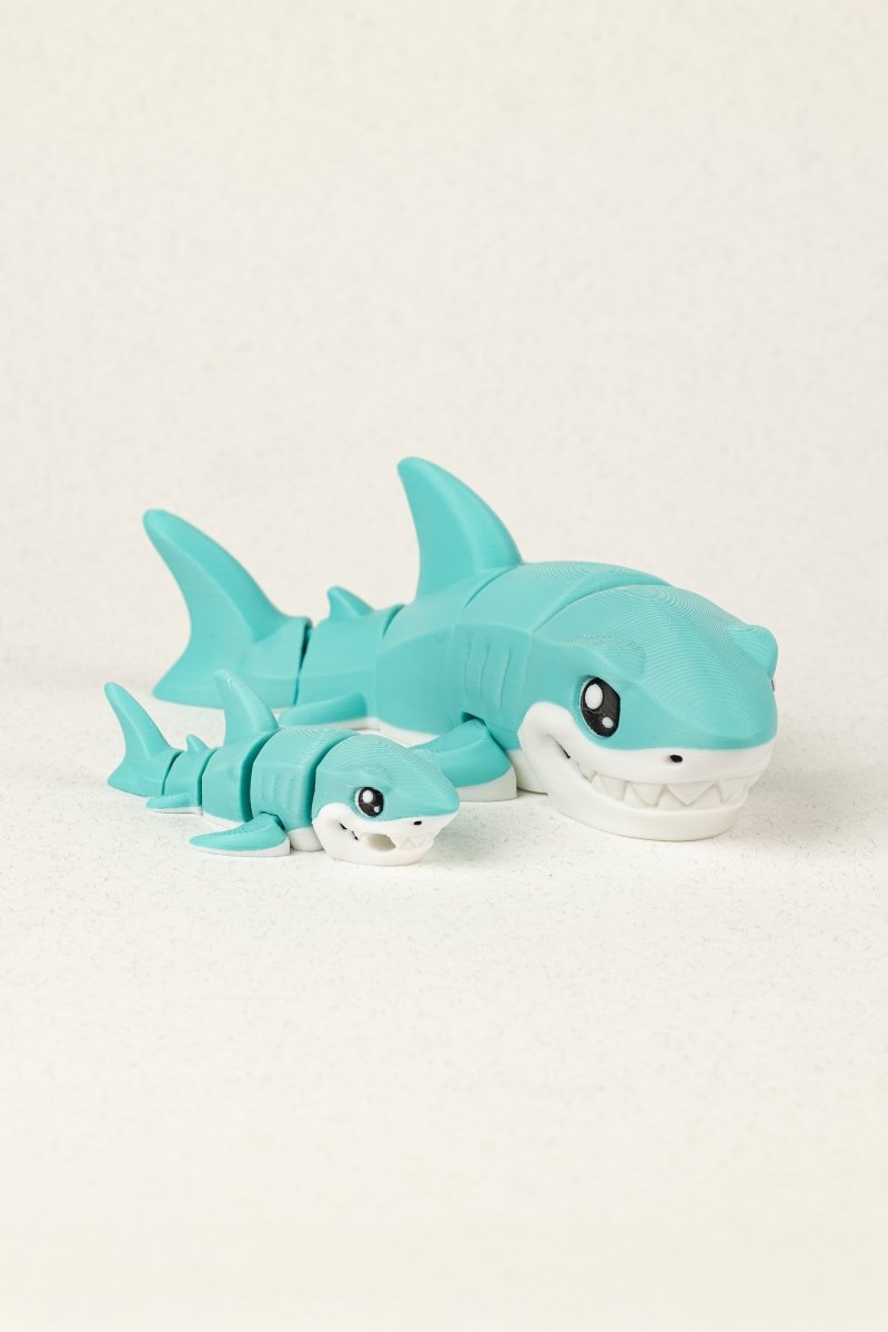 Біла акула - Education Cards