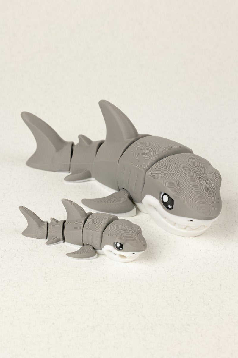 Біла акула - Education Cards