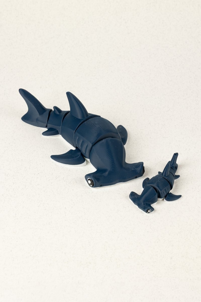 Акула молот - Education Cards