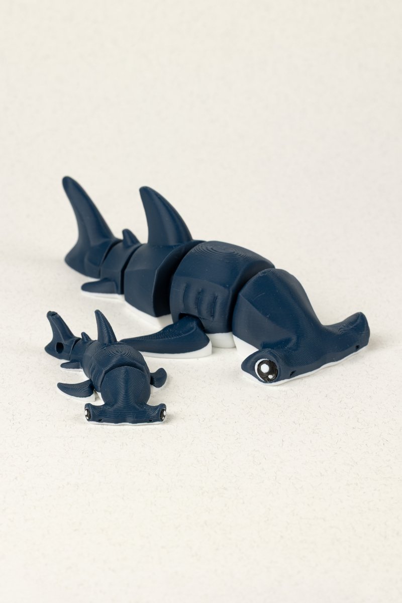 Акула молот - Education Cards