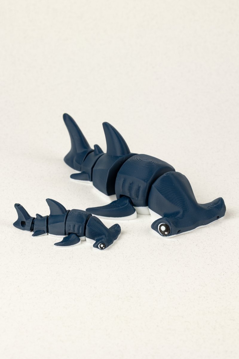 Акула молот - Education Cards