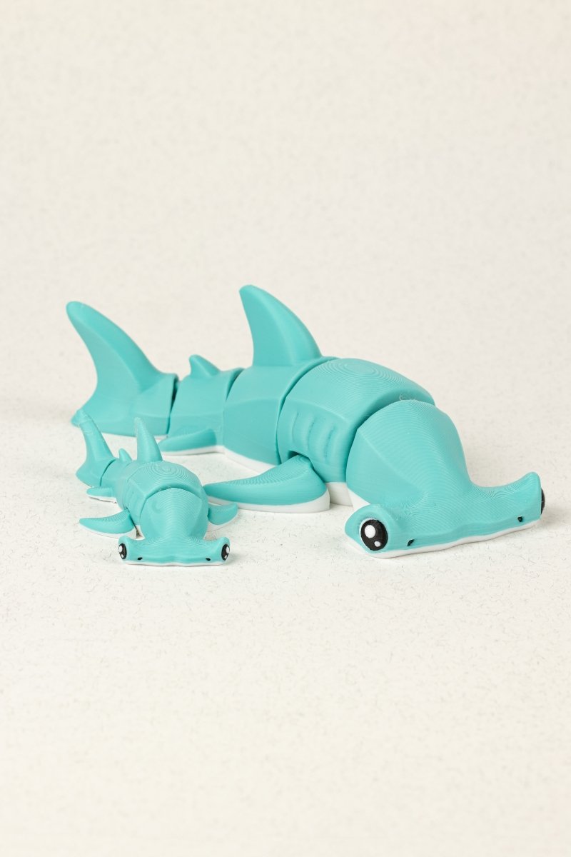 Акула молот - Education Cards