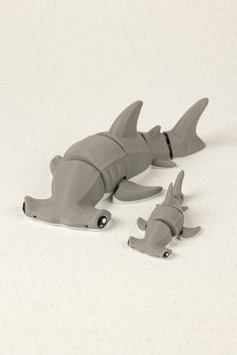 Акула молот - Education Cards