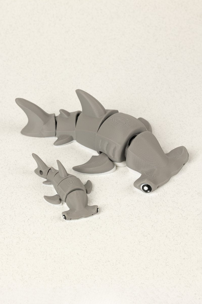 Акула молот - Education Cards